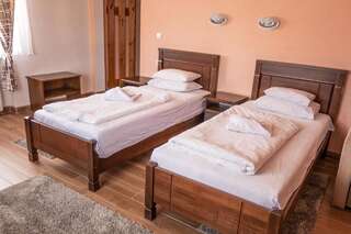 Отель Hotel Zlatni bor Жабляк Двухместный номер с 1 кроватью или 2 отдельными кроватями-1