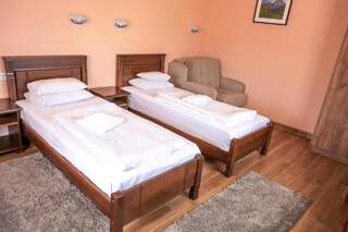Отель Hotel Zlatni bor Жабляк Двухместный номер с 1 кроватью или 2 отдельными кроватями-2