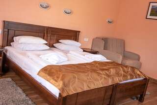 Отель Hotel Zlatni bor Жабляк Двухместный номер с 1 кроватью или 2 отдельными кроватями-4