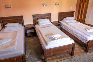 Отель Hotel Zlatni bor Жабляк Трехместный номер-3