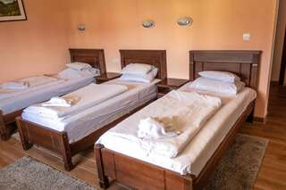 Отель Hotel Zlatni bor Жабляк Трехместный номер-4