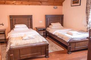 Отель Hotel Zlatni bor Жабляк Апартаменты с 2 спальнями-2