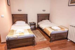 Отель Hotel Zlatni bor Жабляк Двухместный номер Делюкс с 2 отдельными кроватями-4