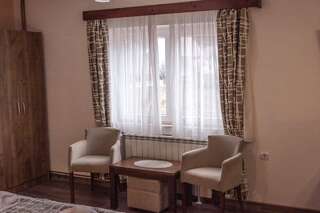 Отель Hotel Zlatni bor Жабляк Двухместный номер Делюкс с 1 кроватью-3