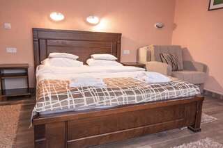 Отель Hotel Zlatni bor Жабляк Двухместный номер Делюкс с 1 кроватью-7