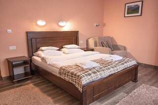 Отель Hotel Zlatni bor Жабляк Двухместный номер Делюкс с 1 кроватью-8