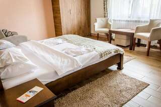 Отель Hotel Zlatni bor Жабляк Двухместный номер Делюкс с 1 кроватью-12